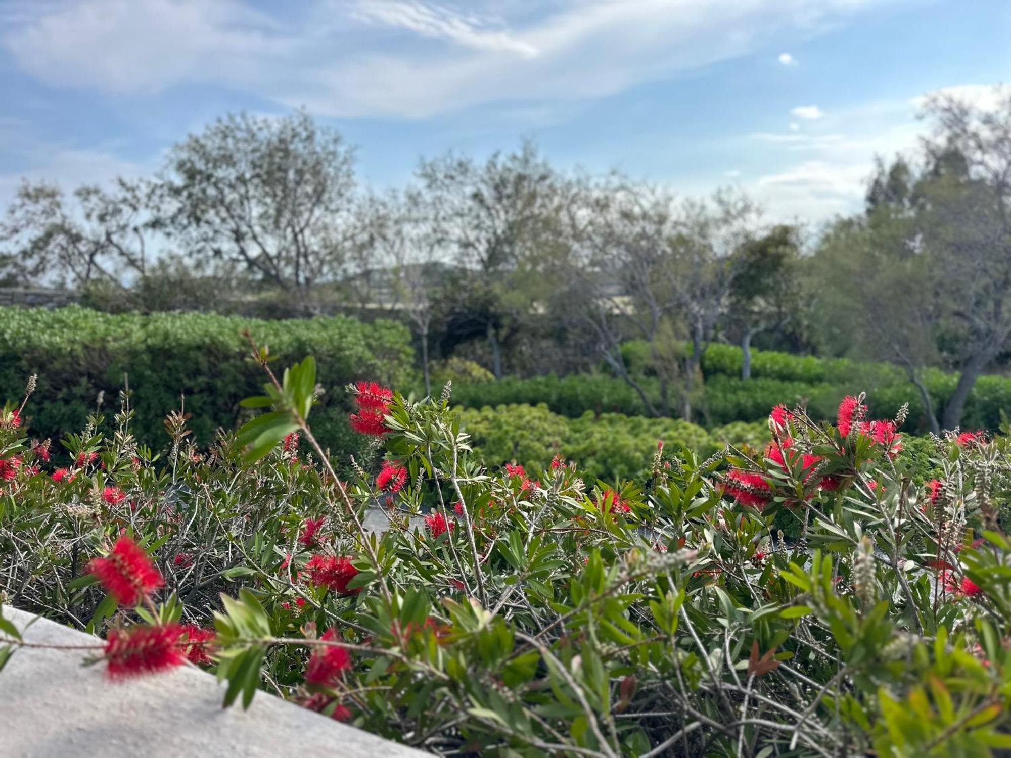 Agrari  Divers House מראה חיצוני תמונה