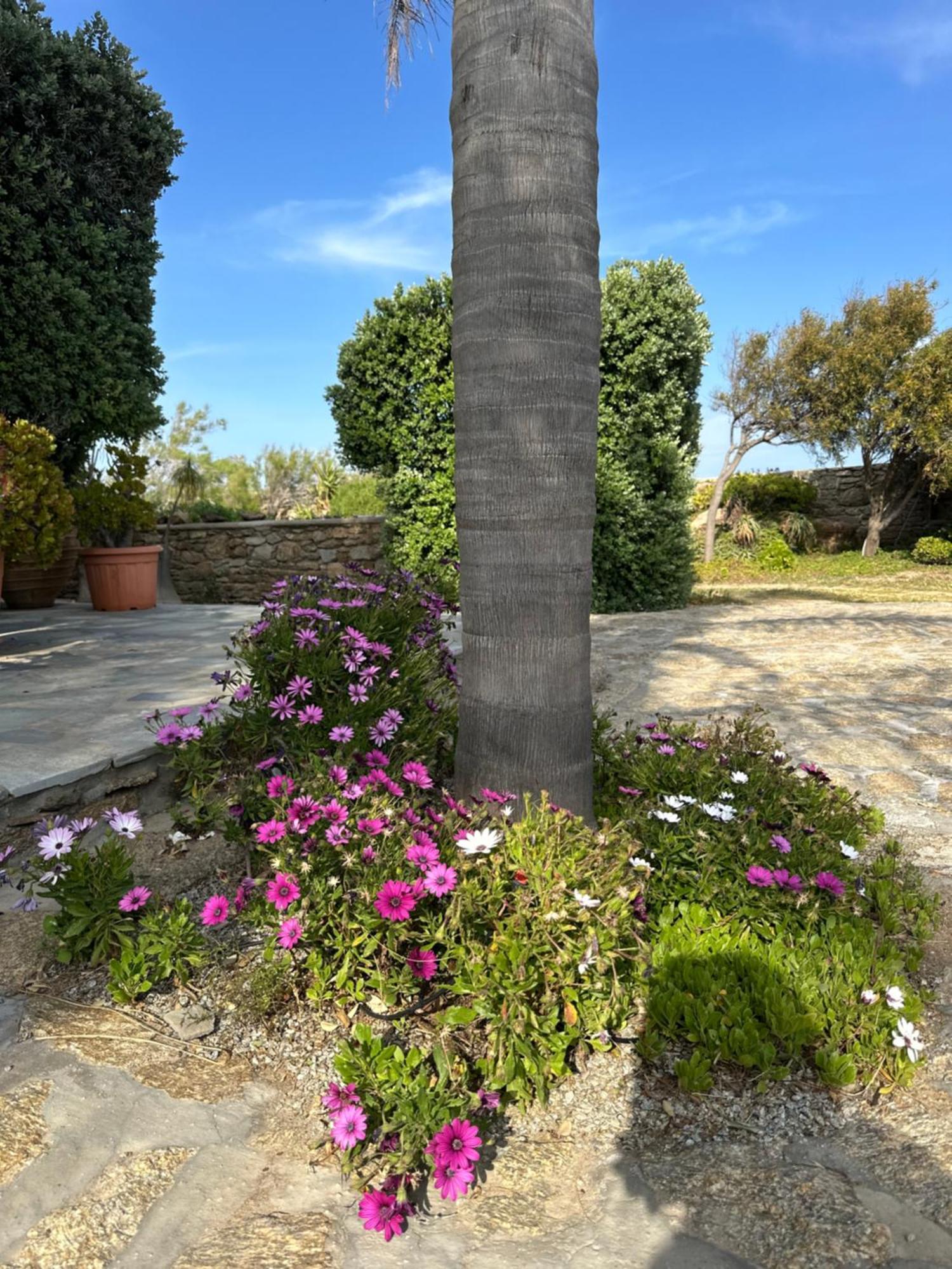 Agrari  Divers House מראה חיצוני תמונה
