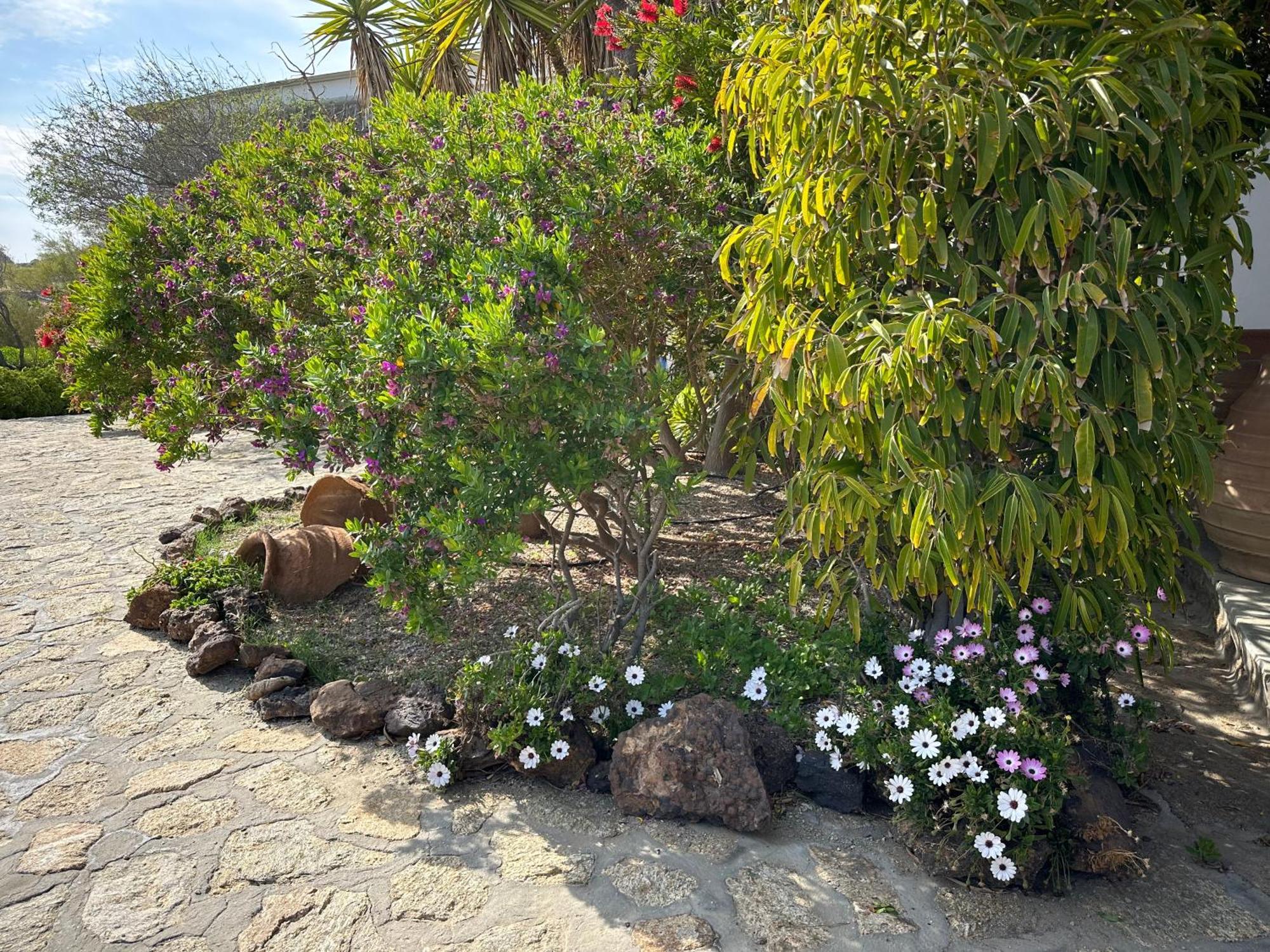 Agrari  Divers House מראה חיצוני תמונה