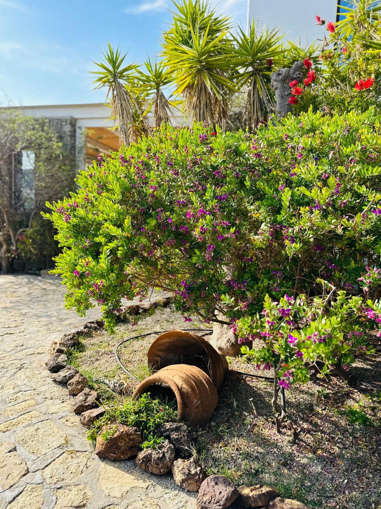 Agrari  Divers House מראה חיצוני תמונה